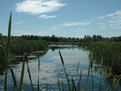 Petawawa Terrace Provincial Park