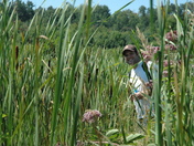 Petawawa Terrace Provincial Park