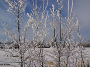 Hues of blue n' nice and white!