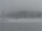 Fog