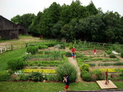 How Does Your Garden Grow