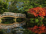 Falls brightest moments