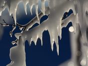 Ice Tree
