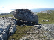 Erratics