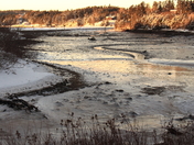 Winter low tide