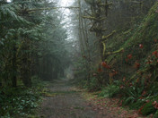 A nice walk on a bleak day