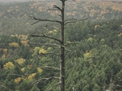 Booth's Rock - Algonquin Park