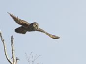 The Phantom Of The North 