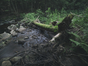 Annapolis Valley, Nova Scotia