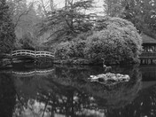 Hatley Castle-National Historic Site