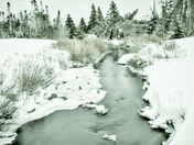dreamy winter stream