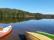 Reflections at Algonquin