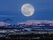 Moon over Whitehorse