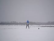 The Virgin Mary and the raven 