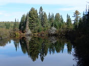 Reflections at Algonquin 