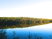 Autumn colours reflected