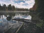 Tea Lake, Algonquin Park