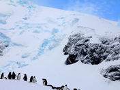 Antarctic fun in the sun.