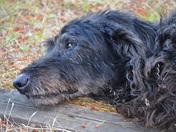 Staring into the Water