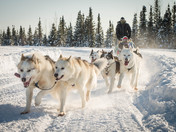 winter day in the big land