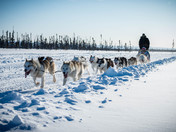 winter day in the big land