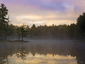 Algonquin Sunrise