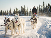 Winter in The Big Land