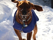 Running into your arms