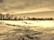 Old Fashioned Winter Fun