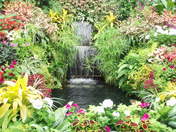 Butchurt Garden, Victoria