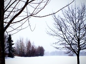 Beautiful Canadian nature