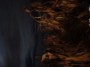 Full Moon in the field