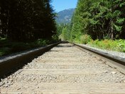Tracks