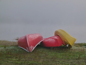 Colourful Canoes