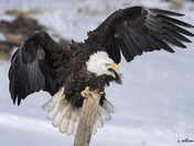 "Hey, Watch it, Buddy"