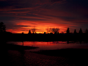 Sunkissed Silhouette