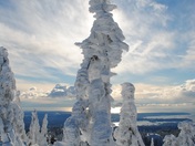 Mt. Seymour Snow Ghosts