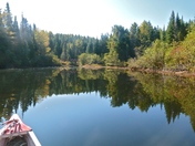 Reflections from a canoe 2