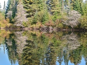 Refections from a canoe 3