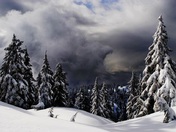 Winter sky in Mt. Seymour Provincial Park