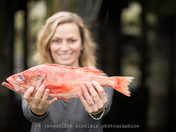 Granville Island Snapper