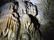 Treasure at Horne Lake