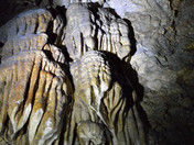 Treasure at Horne Lake