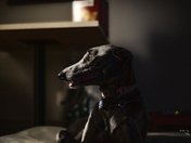 Rogue in the style of Norman Rockwell