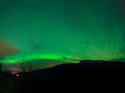 Jasoer Shamrock Borealis