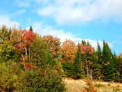 Autumn...In New Brunswick
