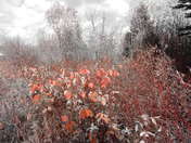 Autumn...In New Brunswick