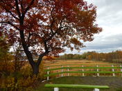 Autumn...In New Brunswick
