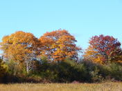 Autumn...In New Brunswick