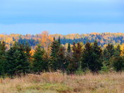 Autumn...In New Brunswick